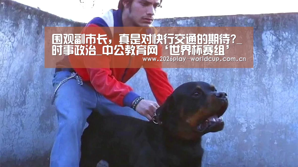 围观副市长,真是对快行交通的期待?_时事政治_中公教育网‘世界杯赛组’(图2) 世界杯官方中文网